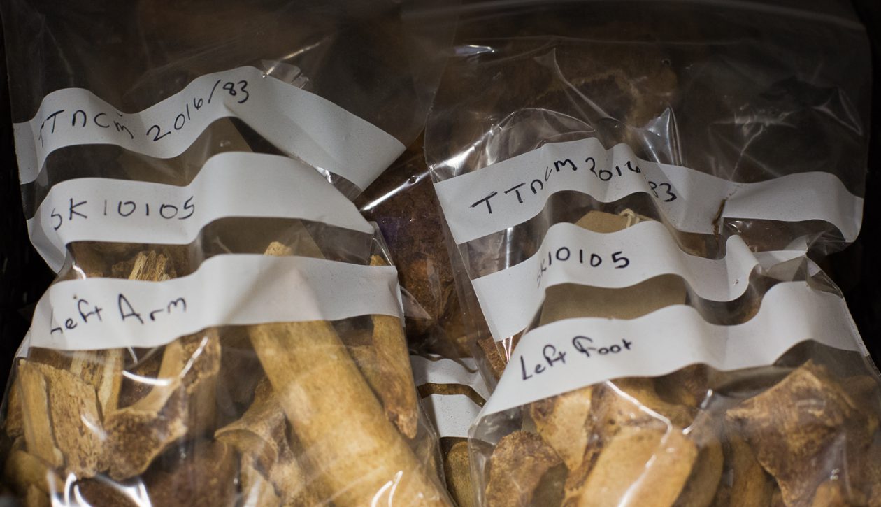 wessex archaeology at filwood green business park