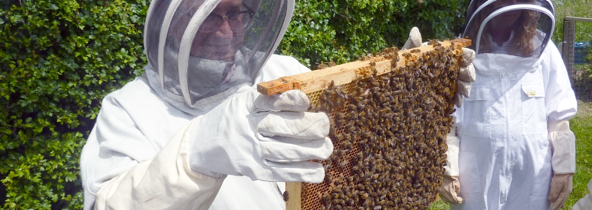 Green Week - Thumbnail