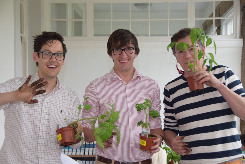 stride treglown green week