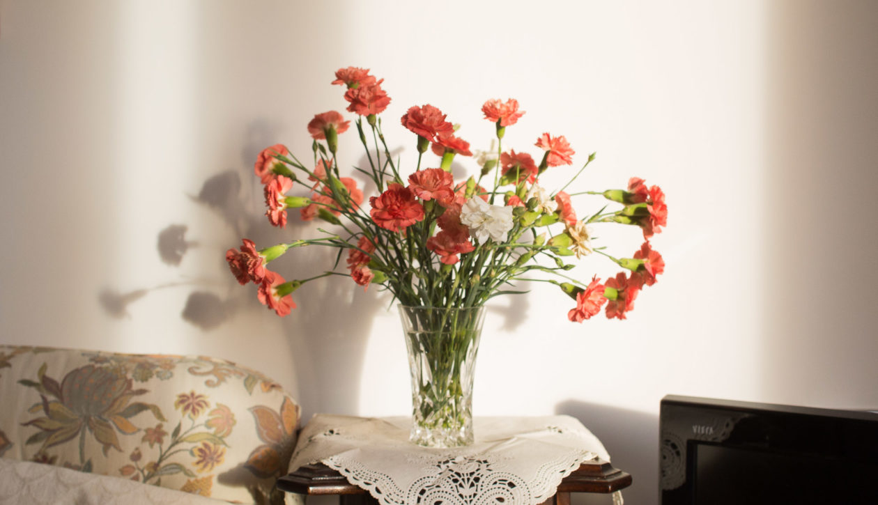 Extra-Care-Charitable-Trust_Bournville-Gardens_LowRES_43