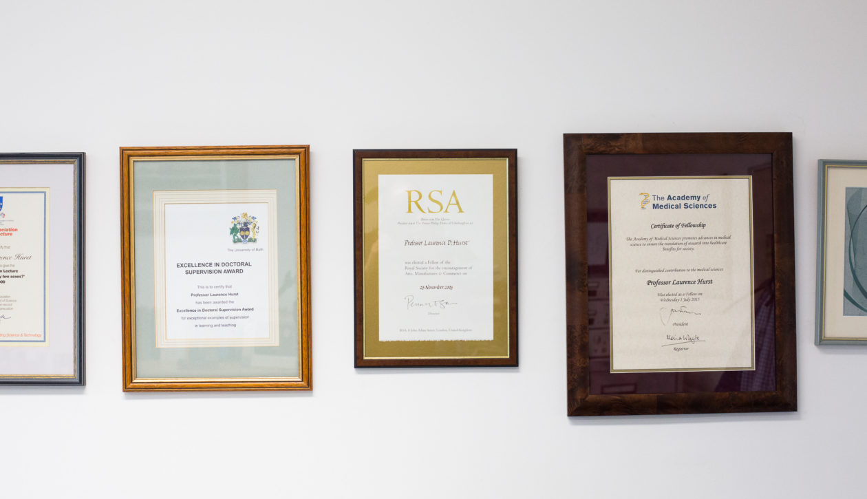 Uni-of-Bath_Milner-Centre_LowRES_49