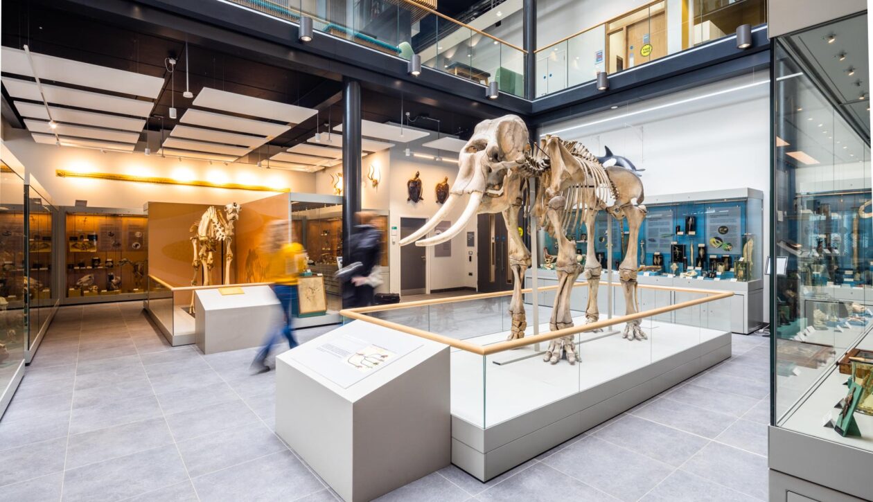 Reading HLS_2022_Atrium LowRES_12