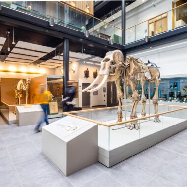 Reading HLS_2022_Atrium LowRES_12