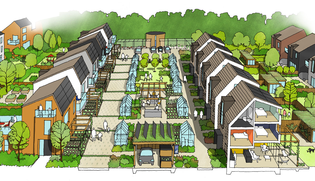 Gardenia - Thumbnail