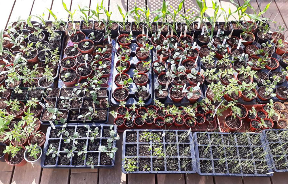 Why we all need space to grow Thumbnail