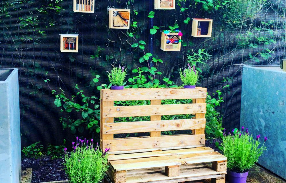2016 Bench + Insect Hotel Cardiff 2
