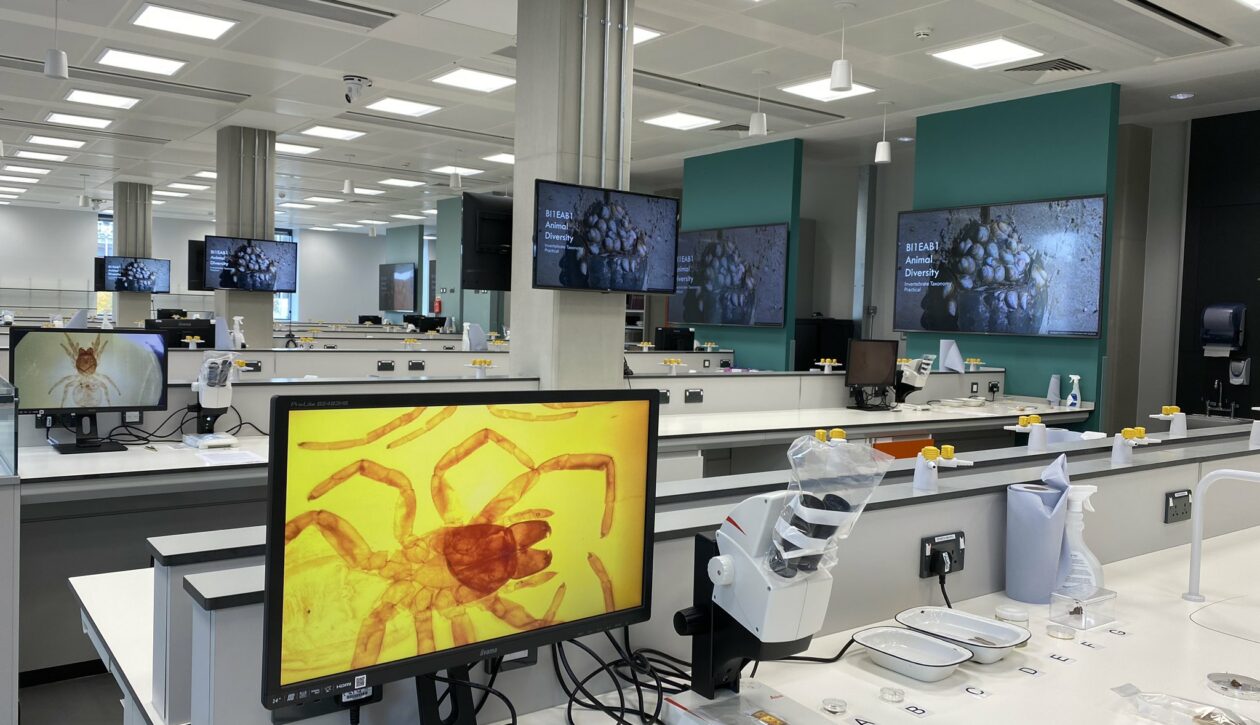 HLS University of Reading_Labs