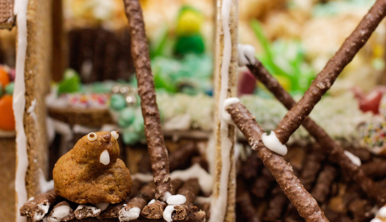 Busy beaver carrying out CDM checks