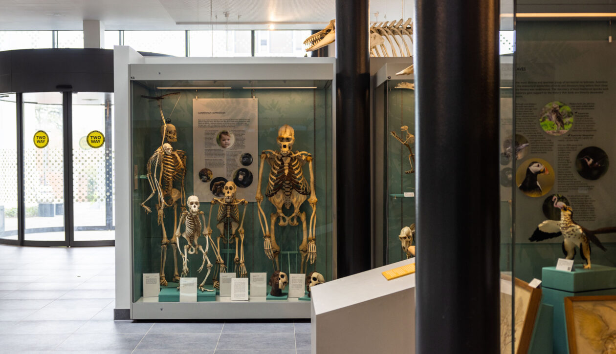 Reading HLS_2022_LowRES_19