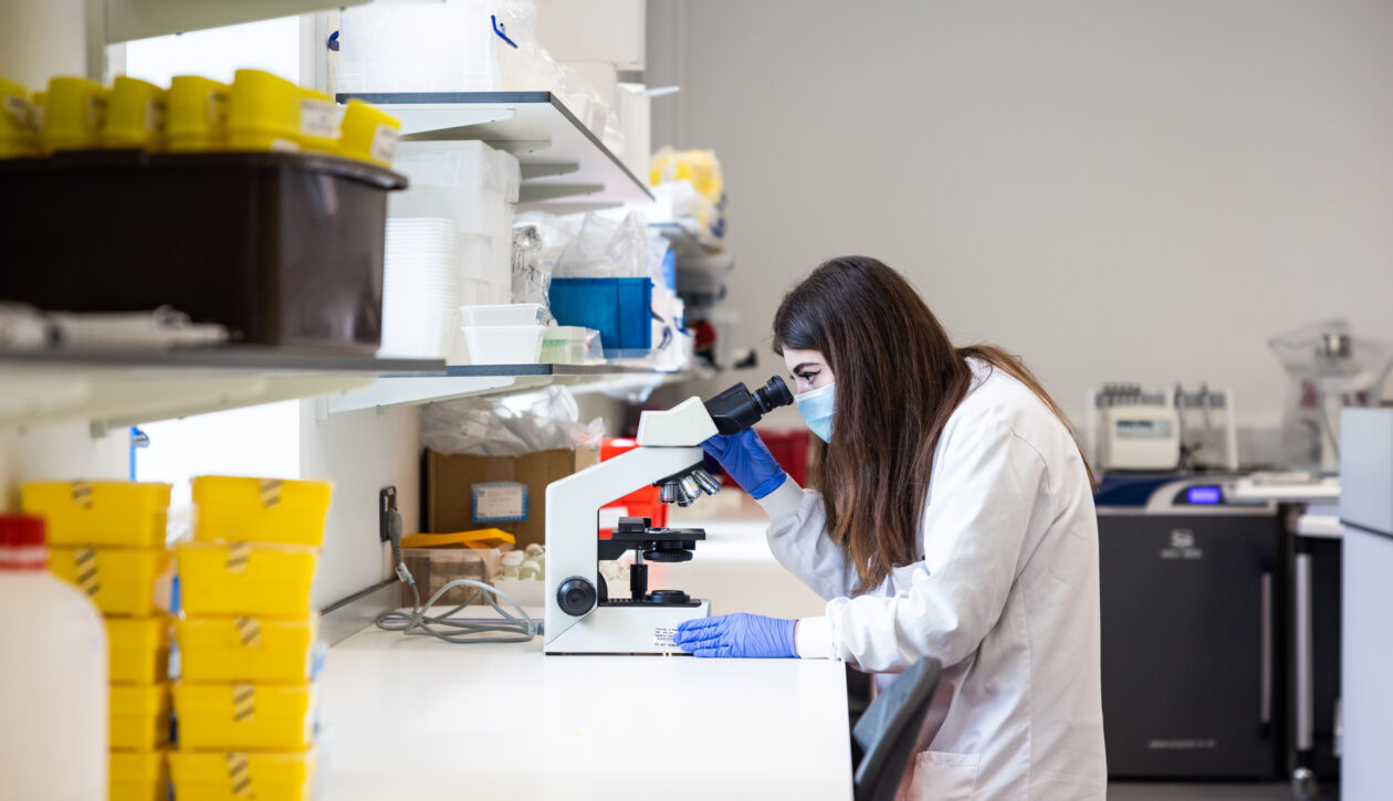 Reading HLS_2022_LowRES_17