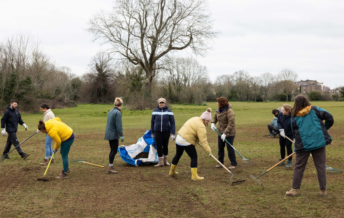 Wildflower Planting_LowRES_5