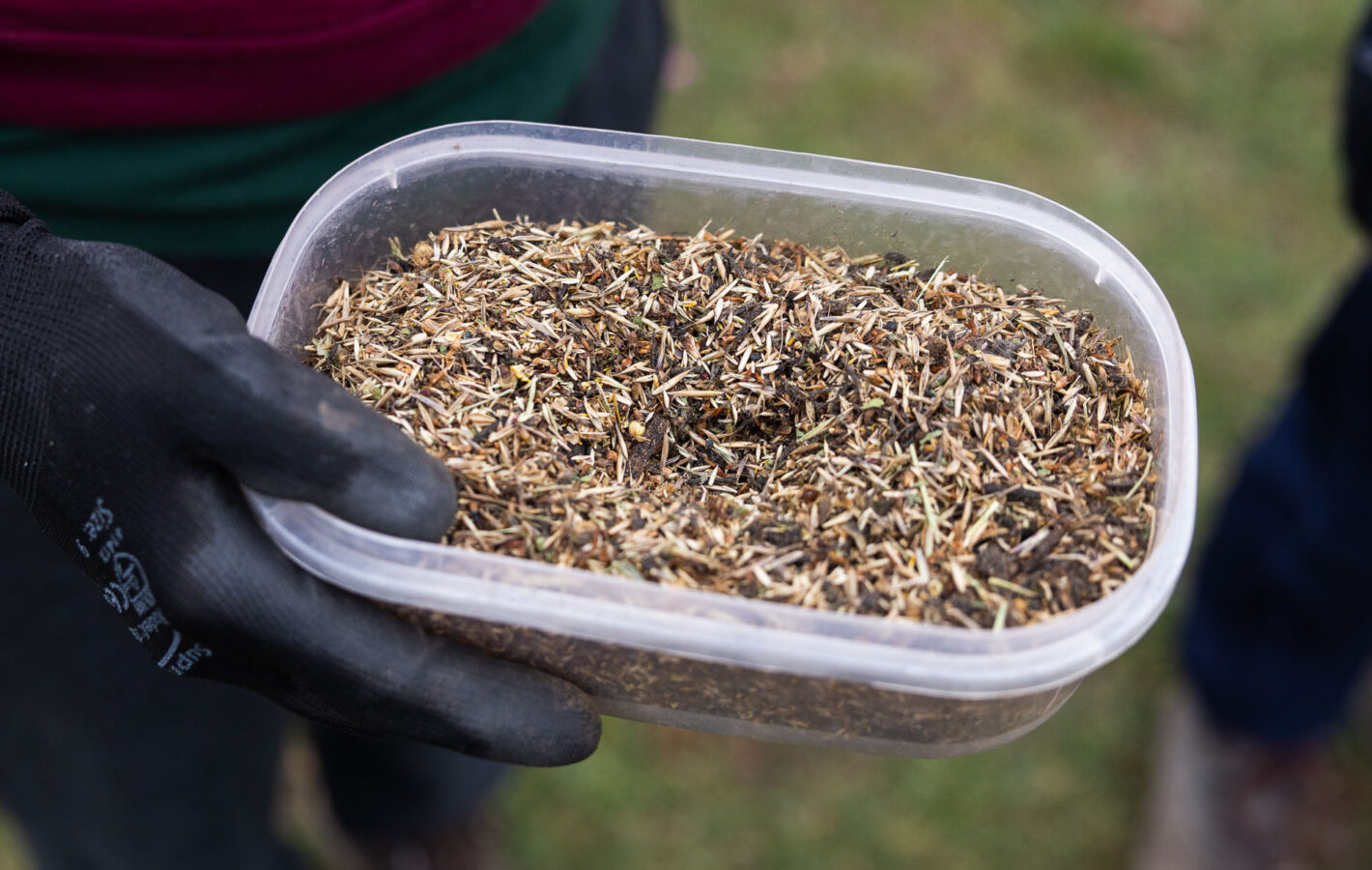 Wildflower Planting_LowRES_17