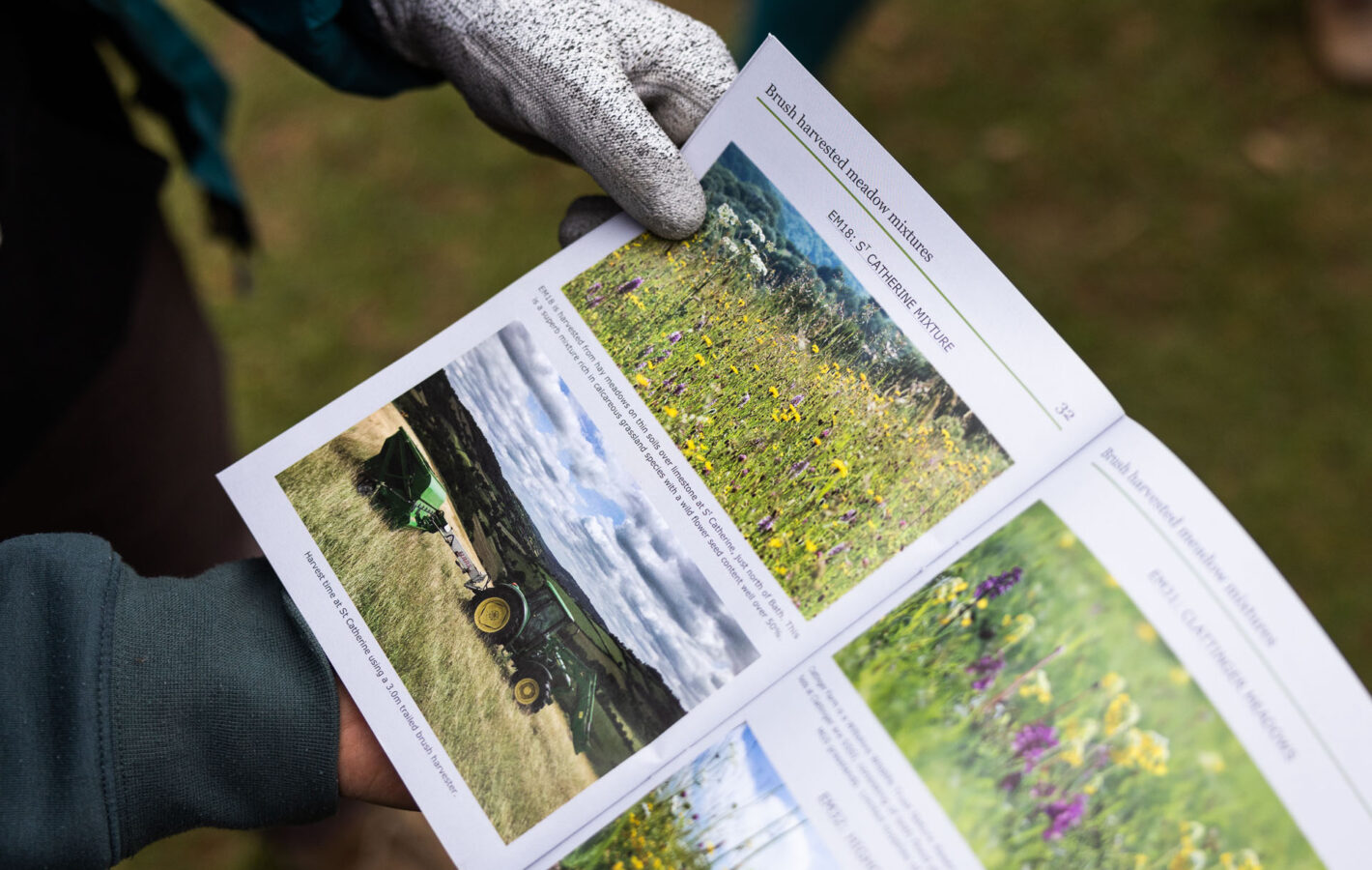 Wildflower Planting_LowRES_33