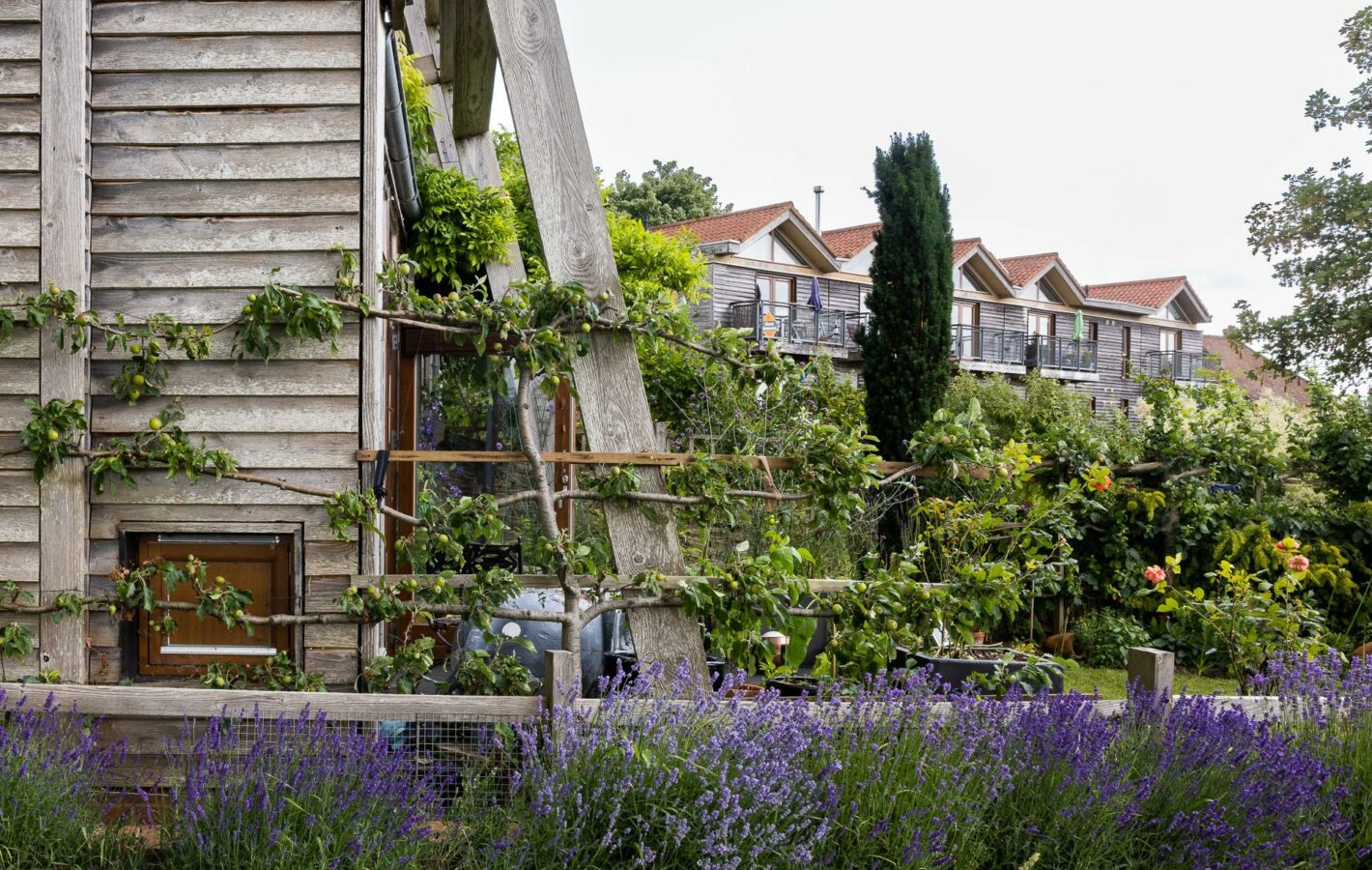 Great Bow Yard_LowRES_70