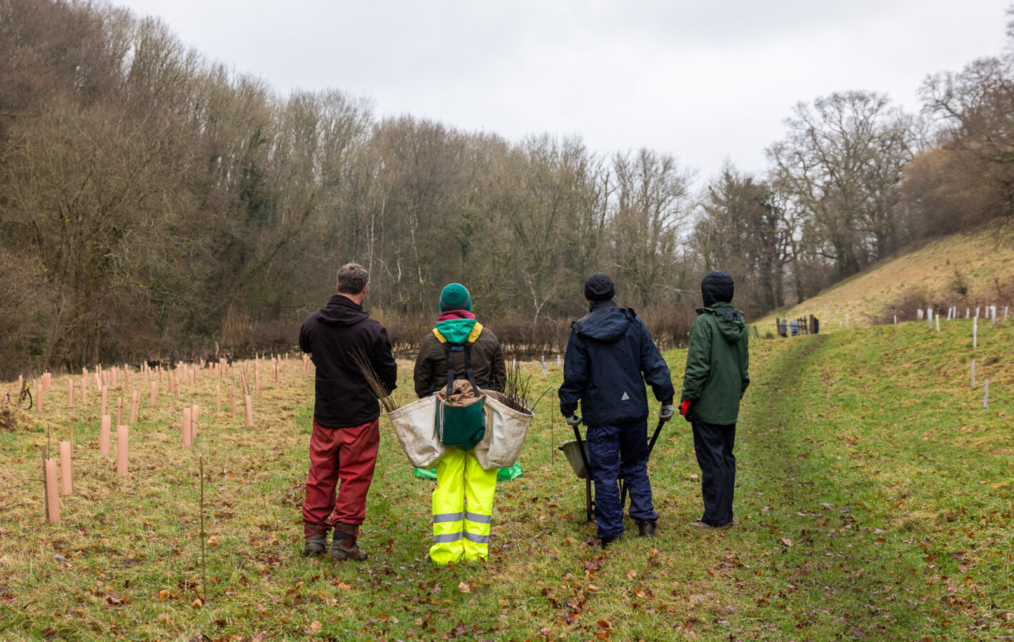 004_240206_Tree Planting_Tom Bright