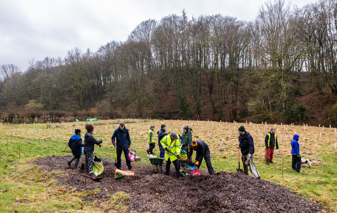009_240206_Tree Planting_Tom Bright