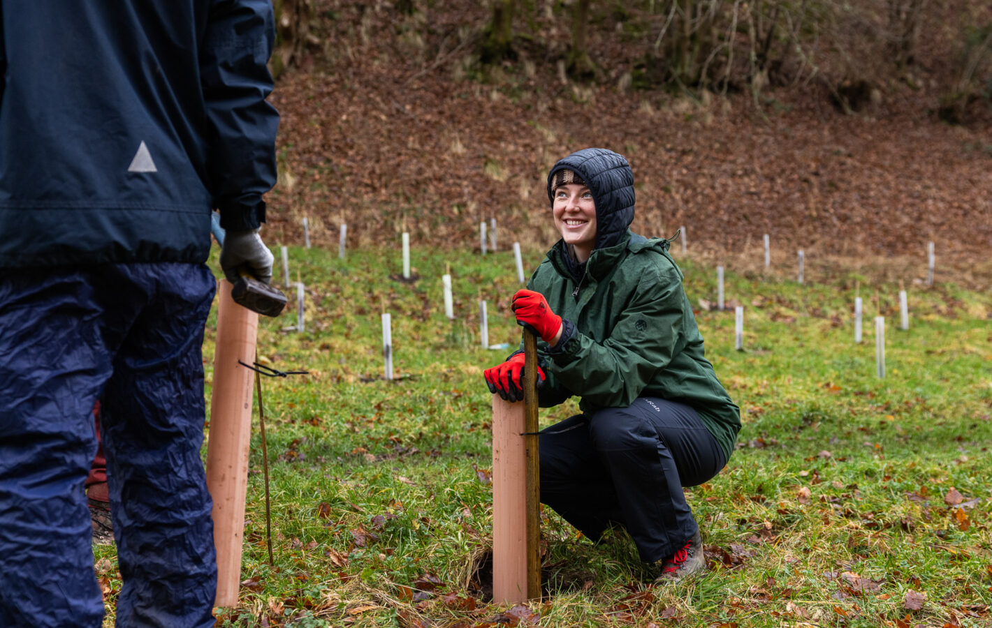 013_240206_Tree Planting_Tom Bright