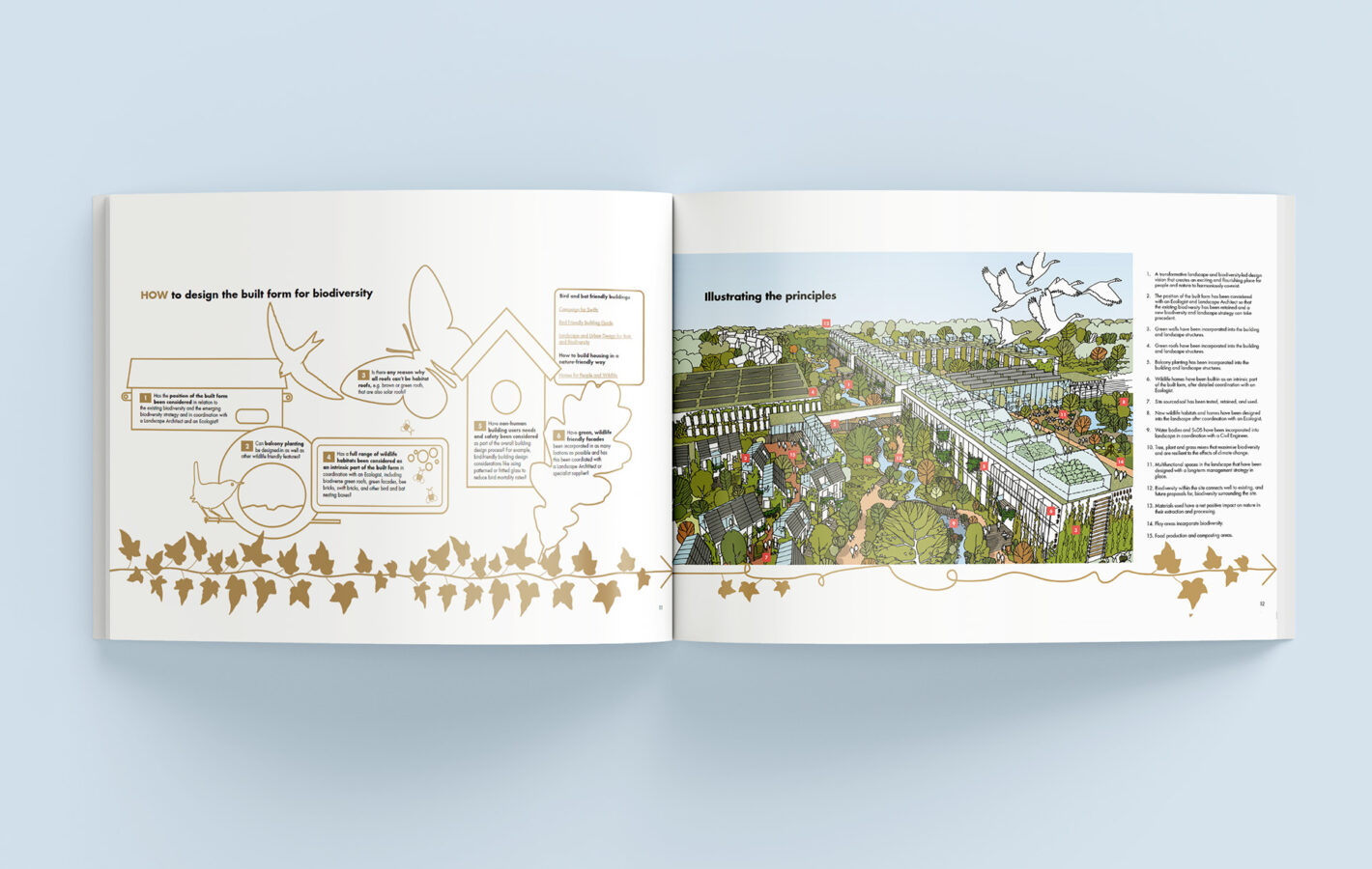 Introducing our Biodiversity Design Guide - Header Image