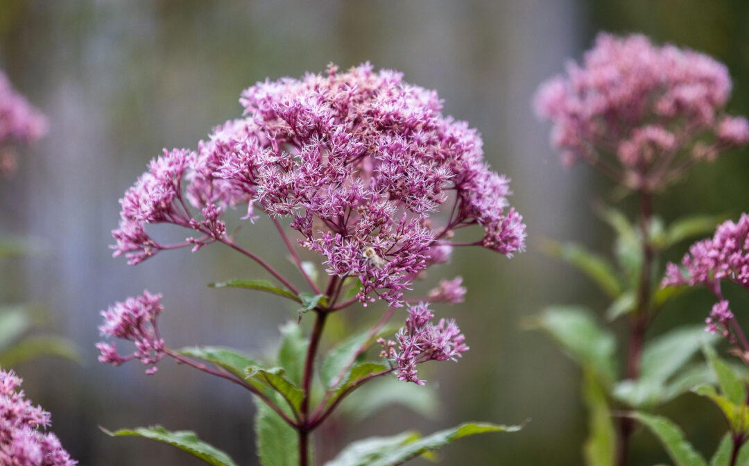MET Office DATA Centre Landscape_LowRES_13