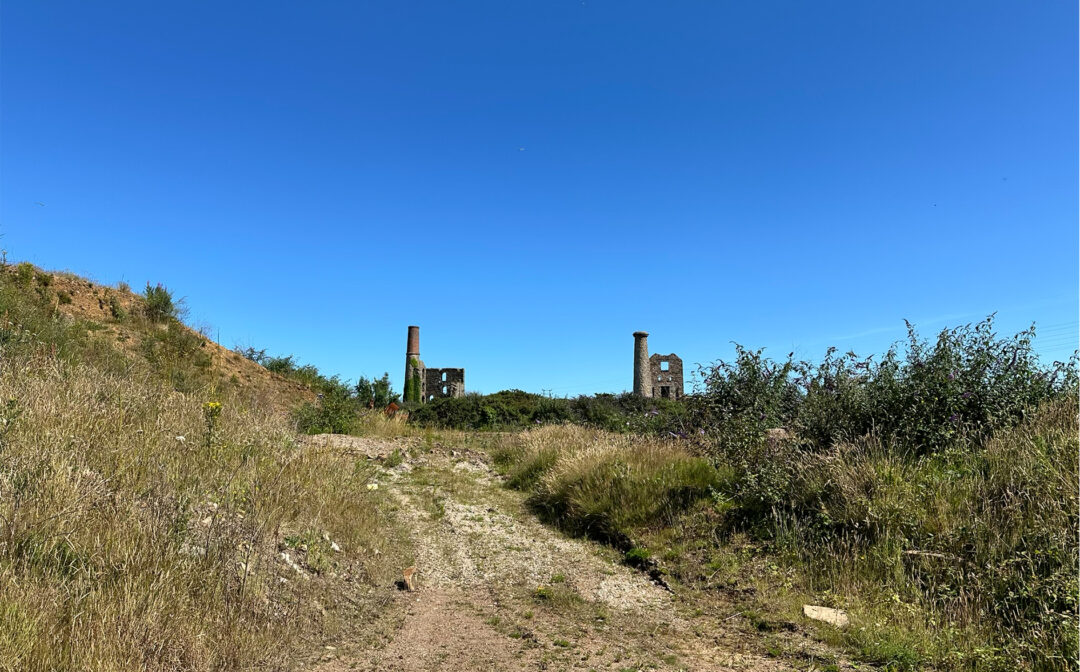 Untitled-1_0002_IMG_5100