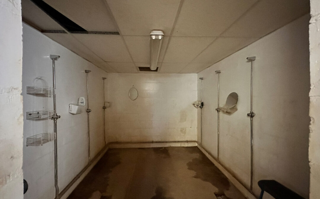 Untitled-1_0004_IMG_5093