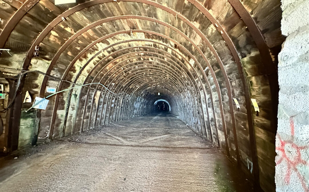 Untitled-1_0011_IMG_5028