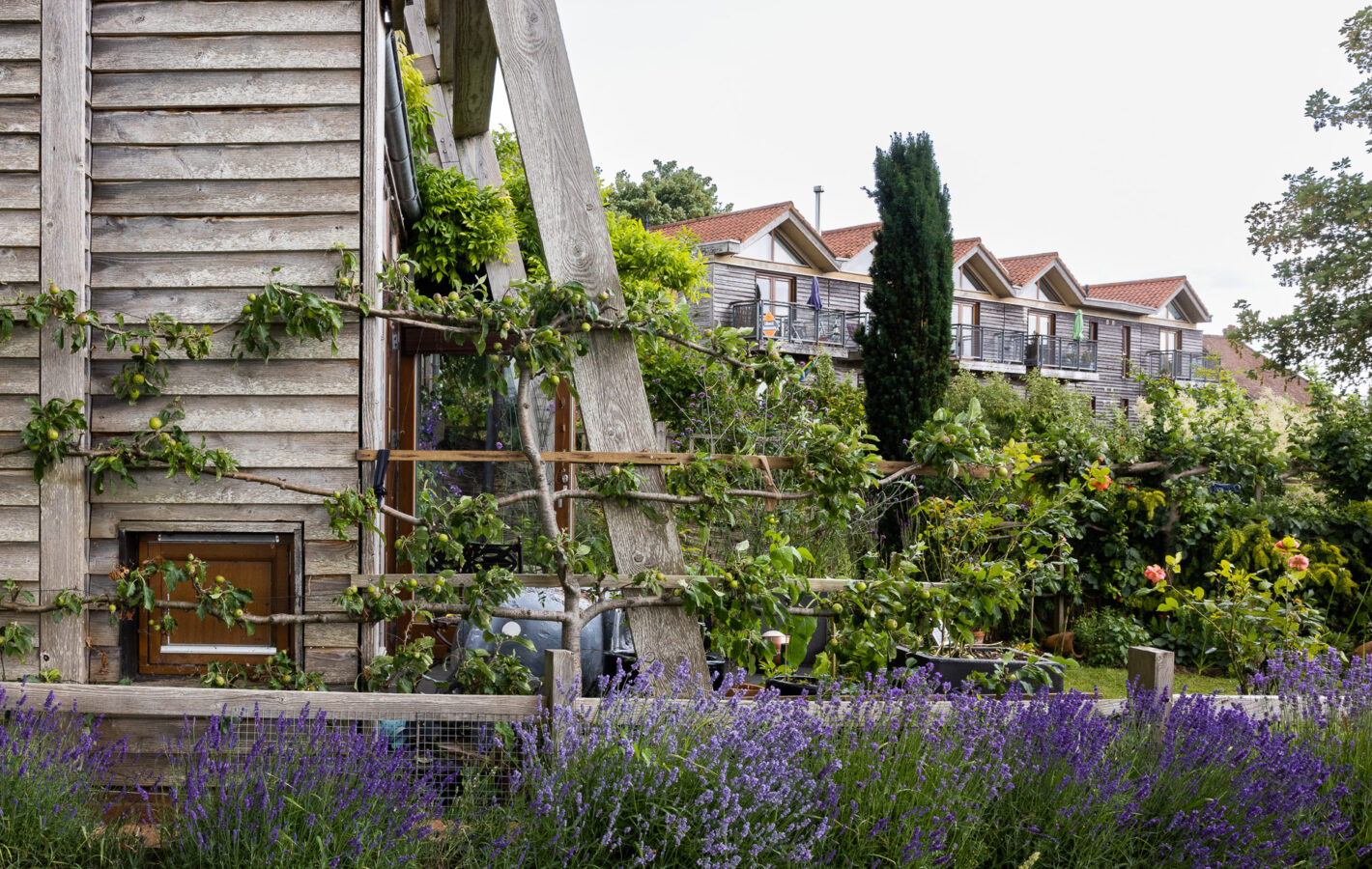 Great Bow Yard_LowRES_70