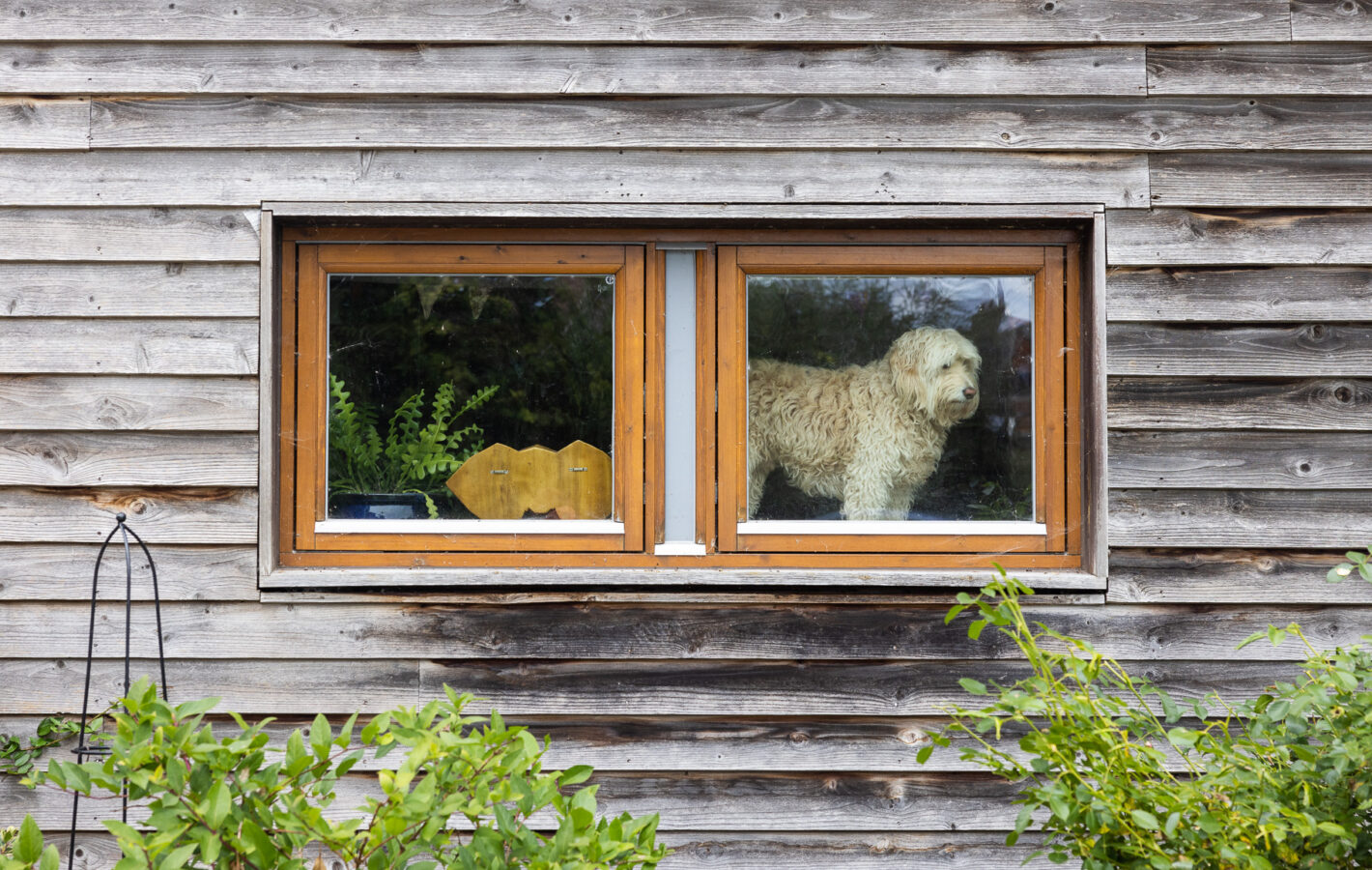 Great Bow Yard Visit 2_LowRES_68