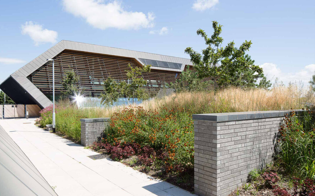 Bringing biodiversity to the big screen