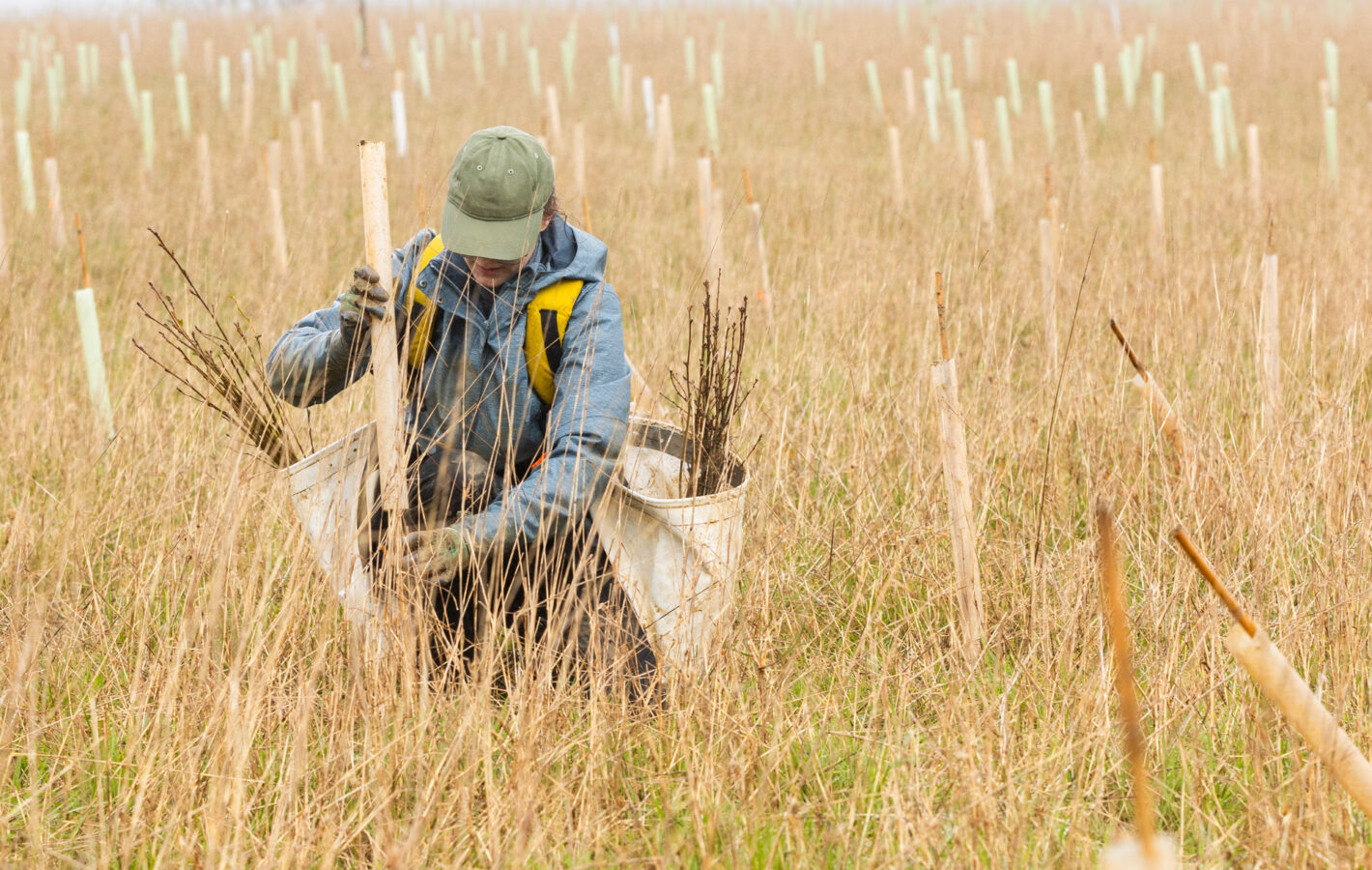 Tree Planting Dundry___260327_©Tom Bright_LowRES_ (72)