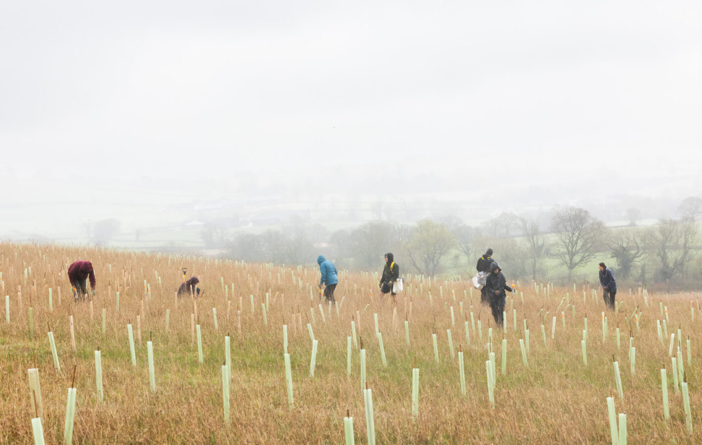 Tree Planting Dundry___260327_©Tom Bright_LowRES_ (78)