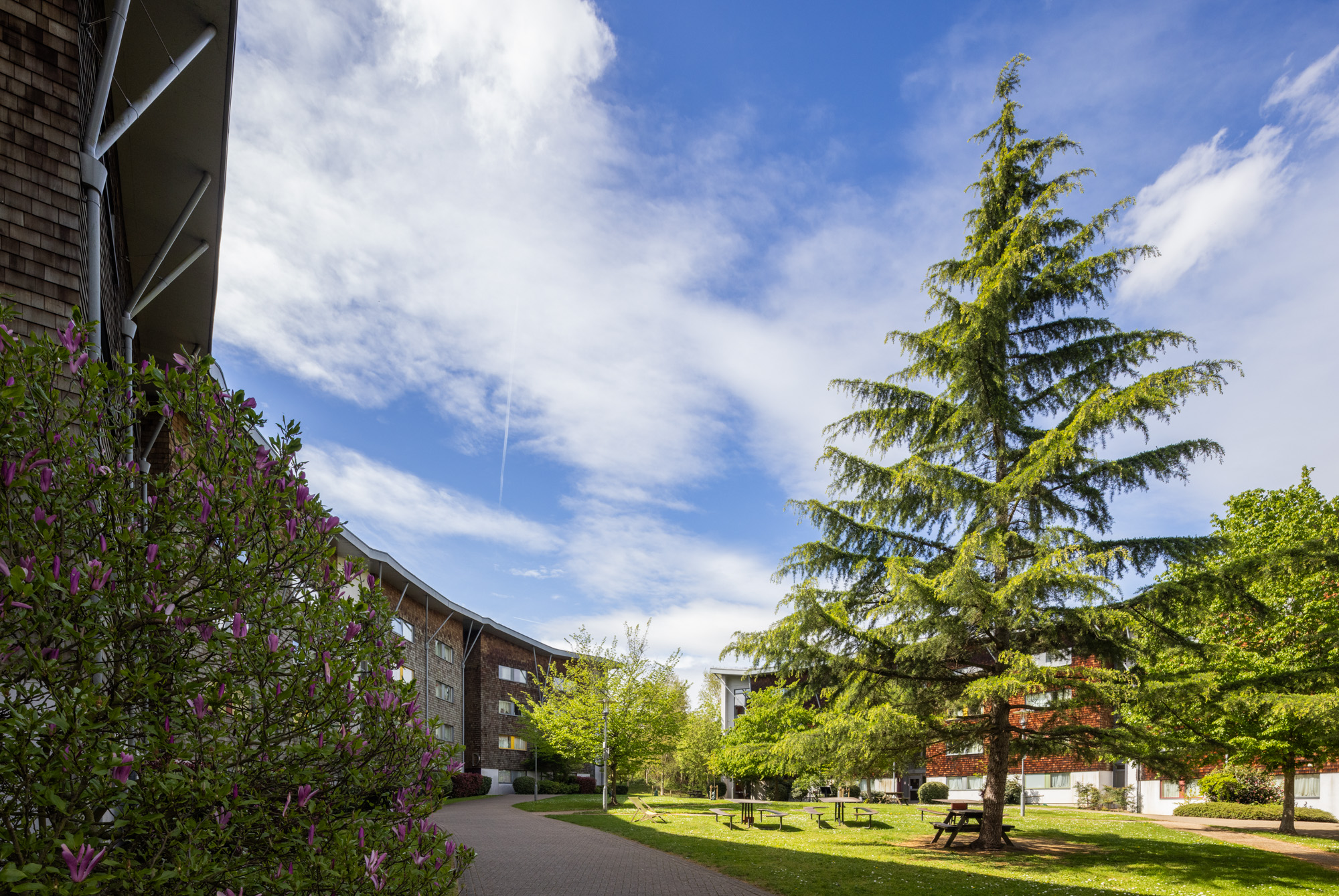 RHUL Masterplan Finalisation and Outline Planning Application Delivery - Slide 7