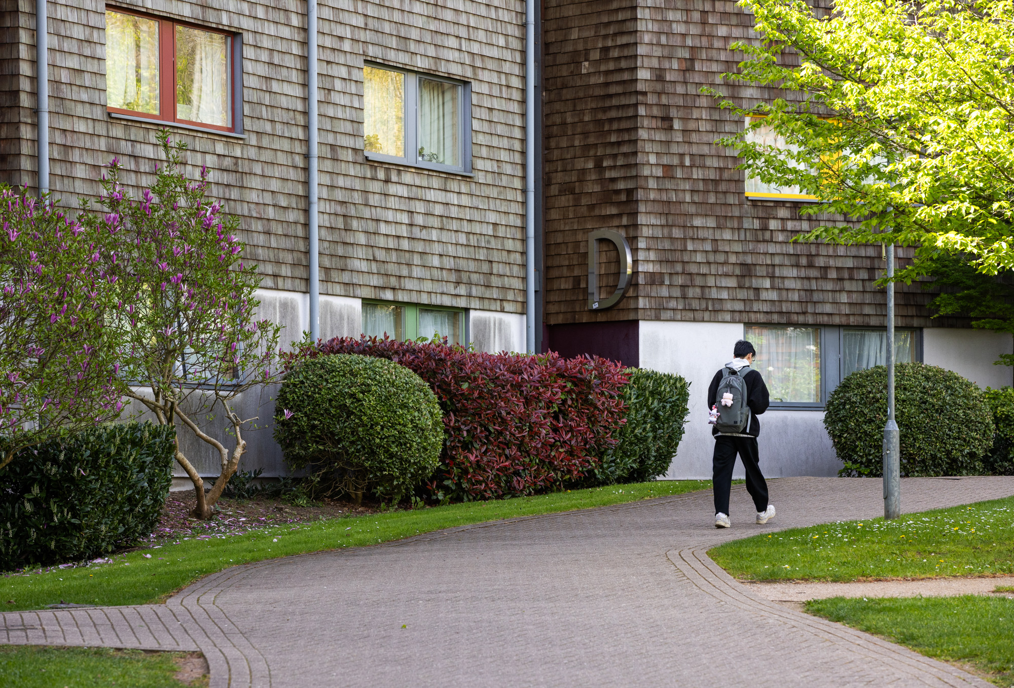 RHUL Masterplan Finalisation and Outline Planning Application Delivery - Slide 6