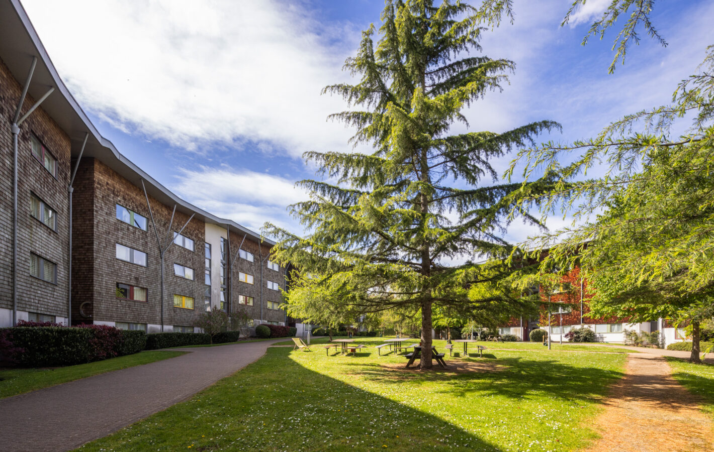 000000_RHUL Masterplan_260414_©Tom Bright_LowRes_ (86)