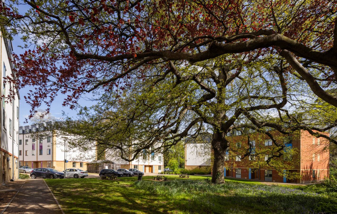 000000_RHUL Masterplan_260414_©Tom Bright_LowRes_ (21)