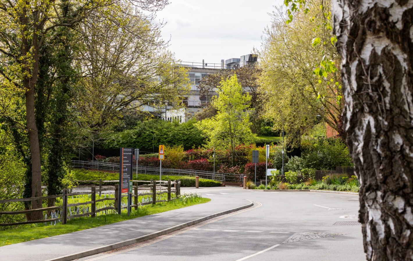 000000_RHUL Masterplan_260414_©Tom Bright_LowRes_ (52)